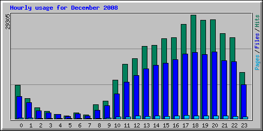 Hourly usage for December 2008