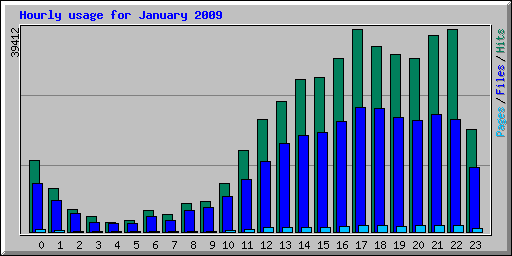 Hourly usage for January 2009